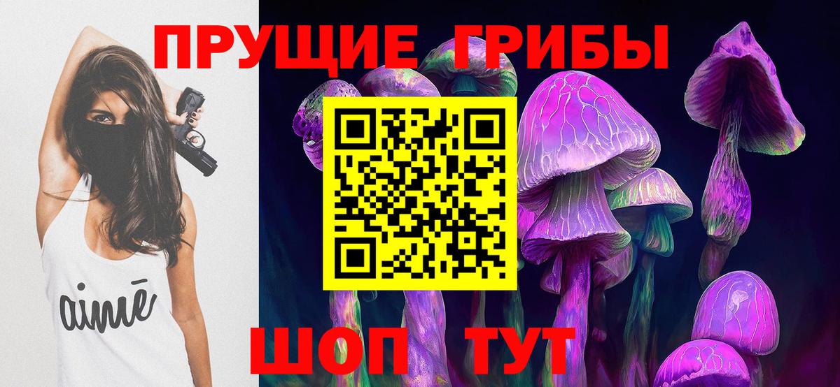 купить   Псилоцибиновые грибы мицелий  Вход с VPN  Ноябрьск 