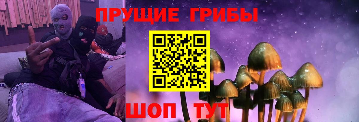 Галлюциногенные грибы Magic Shrooms Ноябрьск