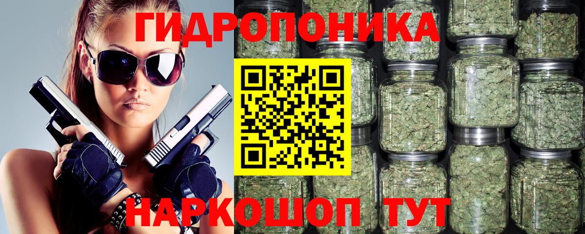 Шишки марихуана Bruce Banner Ноябрьск